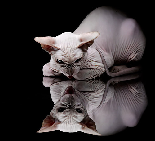 中国足球行业品牌建设再升级,提升行业整体影响力,中国足球产业发展现状