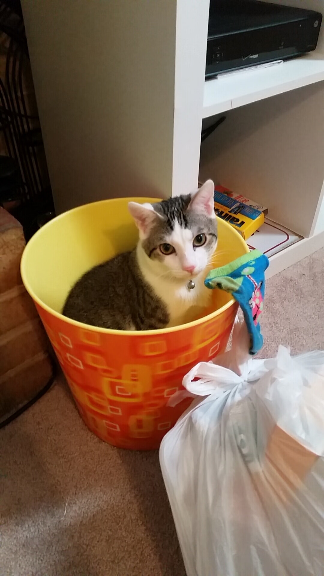 开云网址-数字化赛场管理系统优化提升赛事体验，数字化赛道